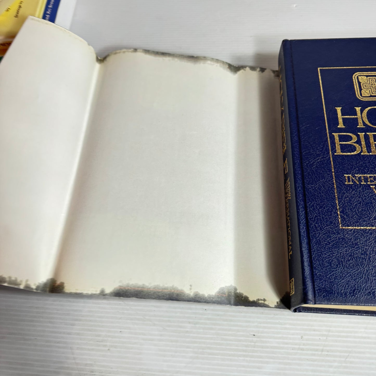 Holy Bible : New International Version
