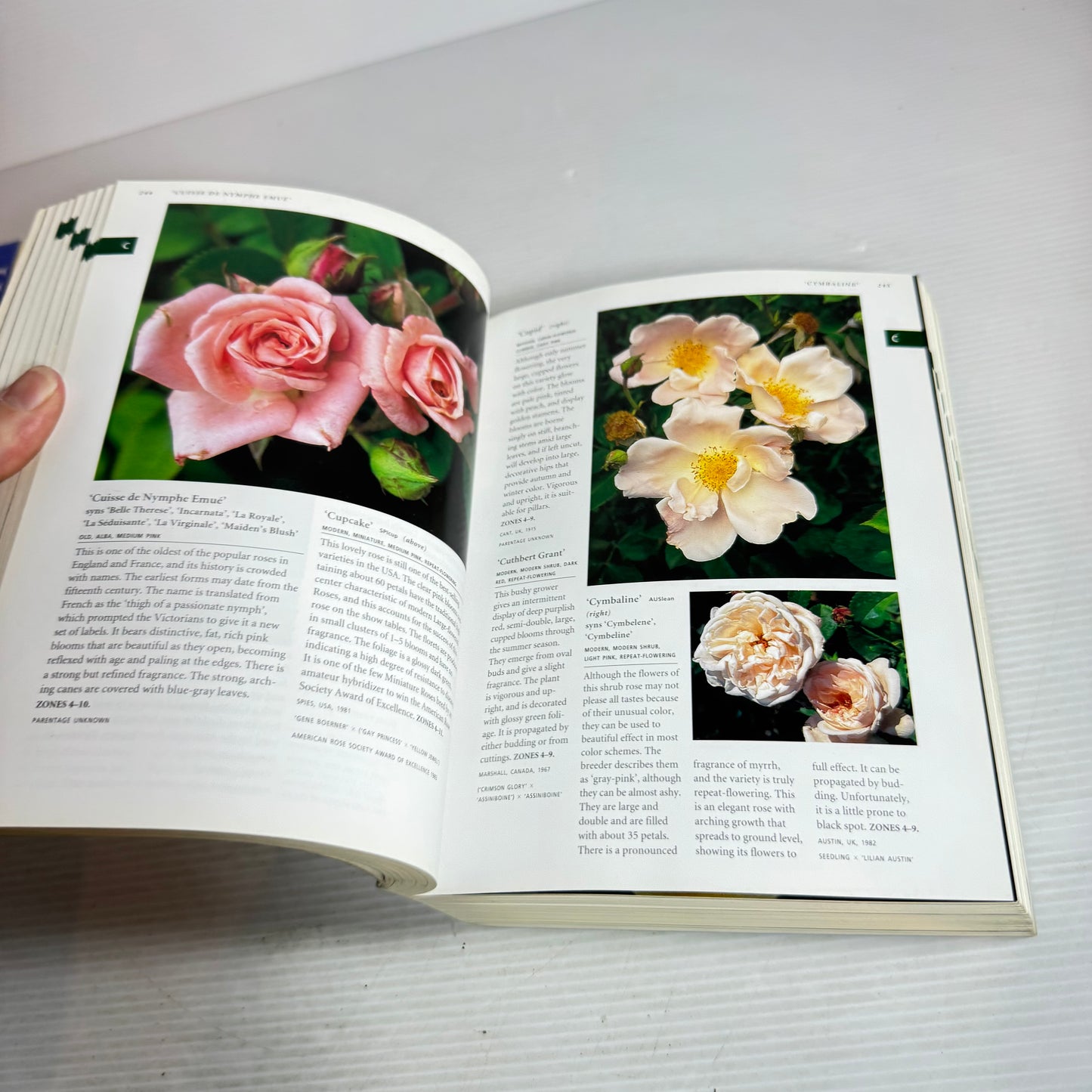 Botanica's Pocket Roses : Over 1000 Pages & Over 200 Roses Listed