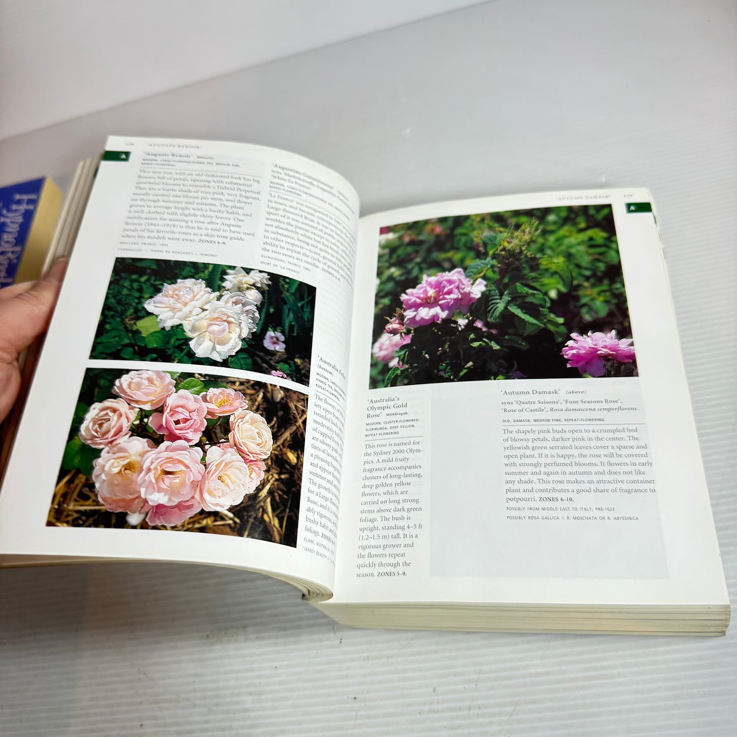 Botanica's Pocket Roses : Over 1000 Pages & Over 200 Roses Listed