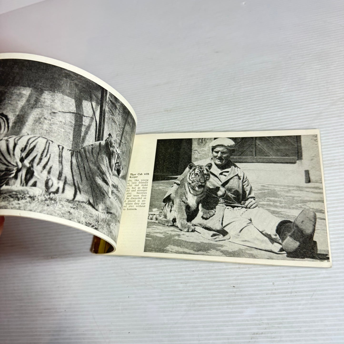 Taronga Park Zoo & Aquarium - Official Illustrated Guide (Vintage 1965)