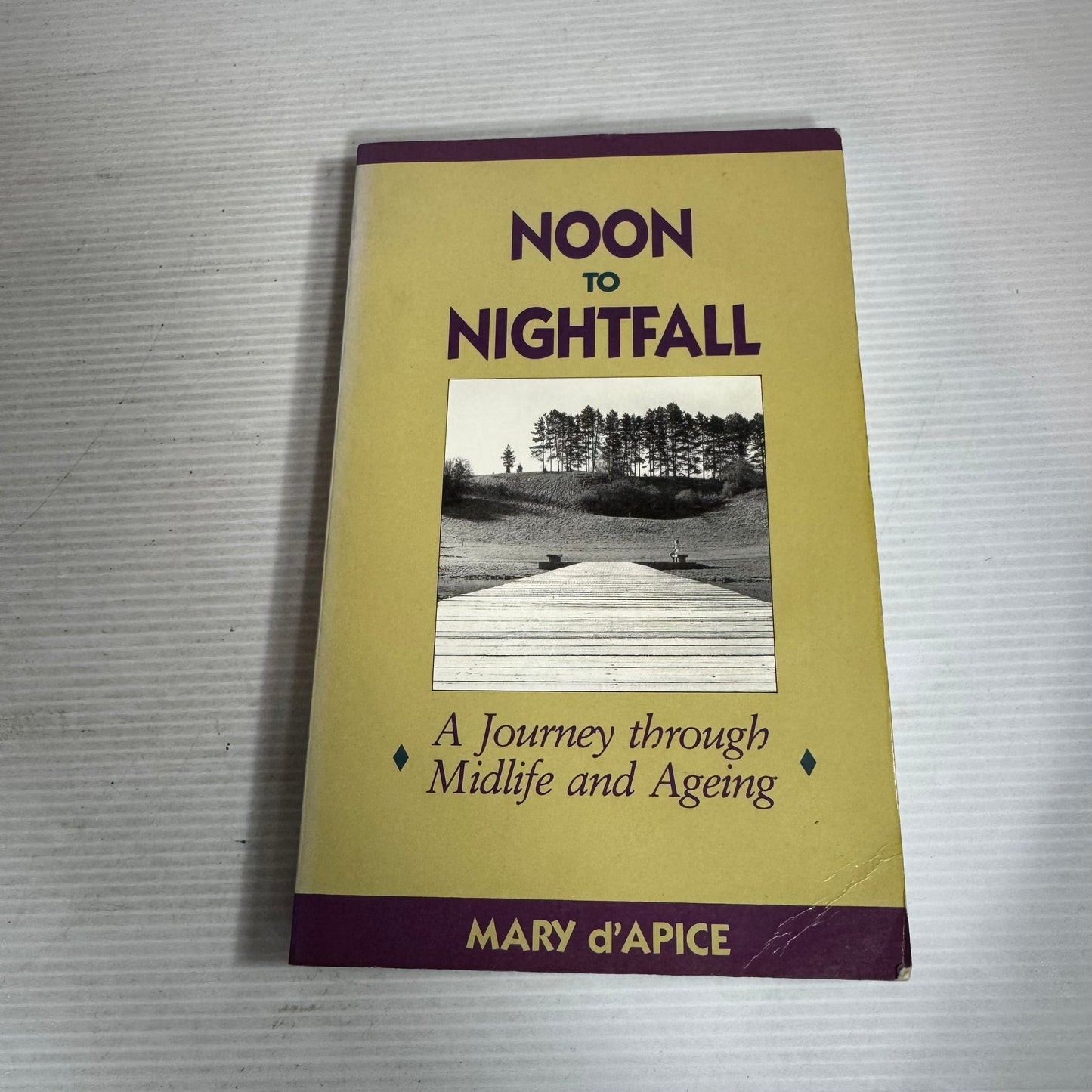 Noon to Nightfall : A Journey through Midlife and Ageing - Mary d'Apice