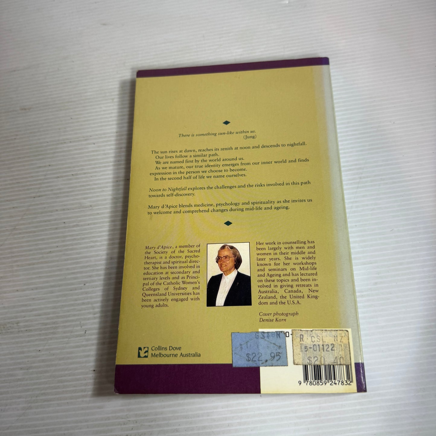 Noon to Nightfall : A Journey through Midlife and Ageing - Mary d'Apice