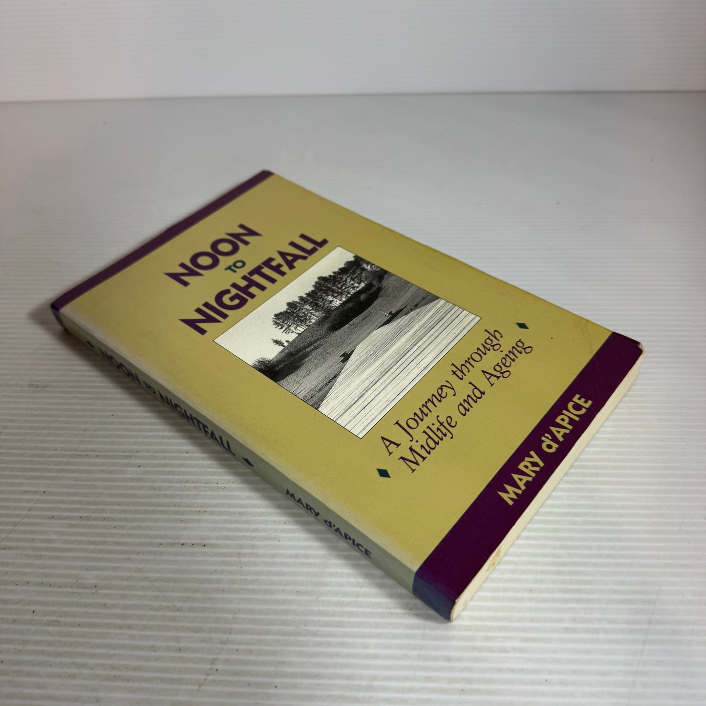 Noon to Nightfall : A Journey through Midlife and Ageing - Mary d'Apice
