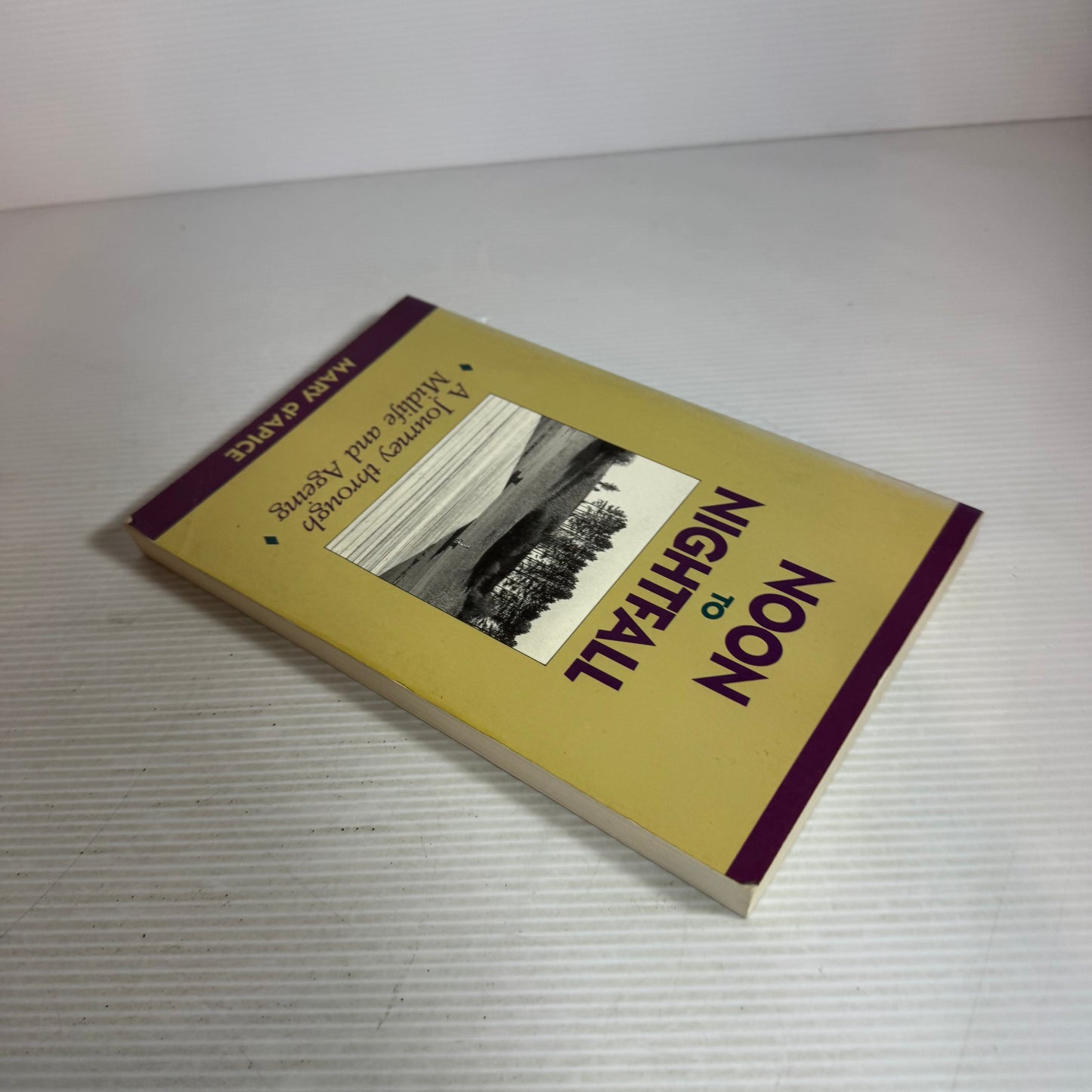 Noon to Nightfall : A Journey through Midlife and Ageing - Mary d'Apice