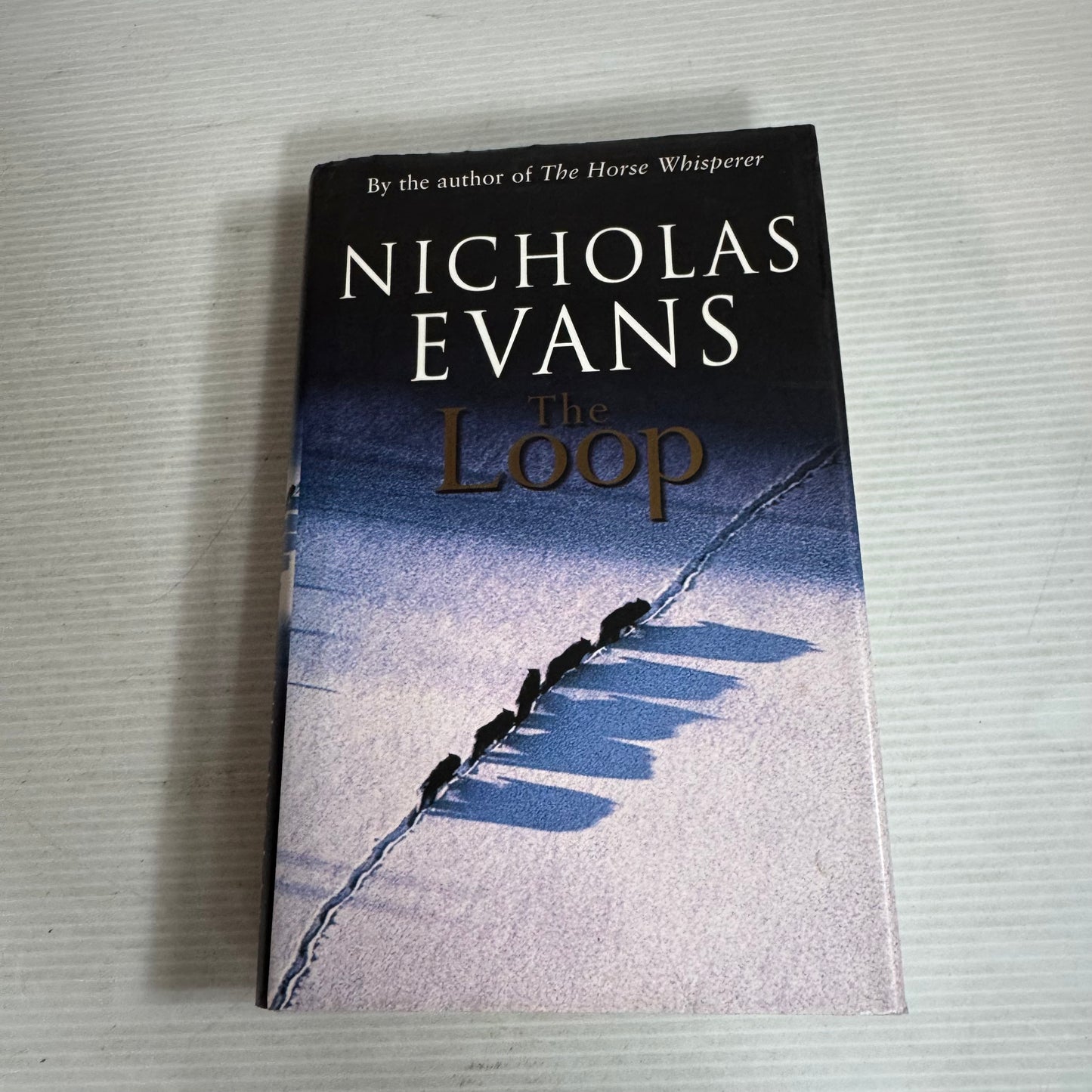 The Loop - Nicholas Evans