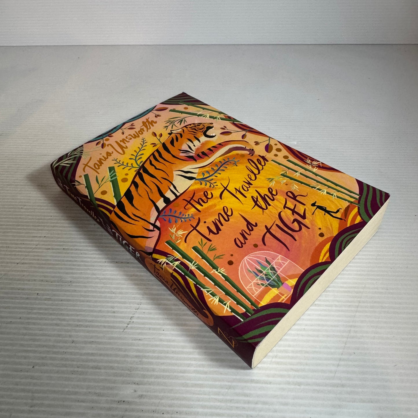 The Time Traveller And The Tiger - Tania Unsworth