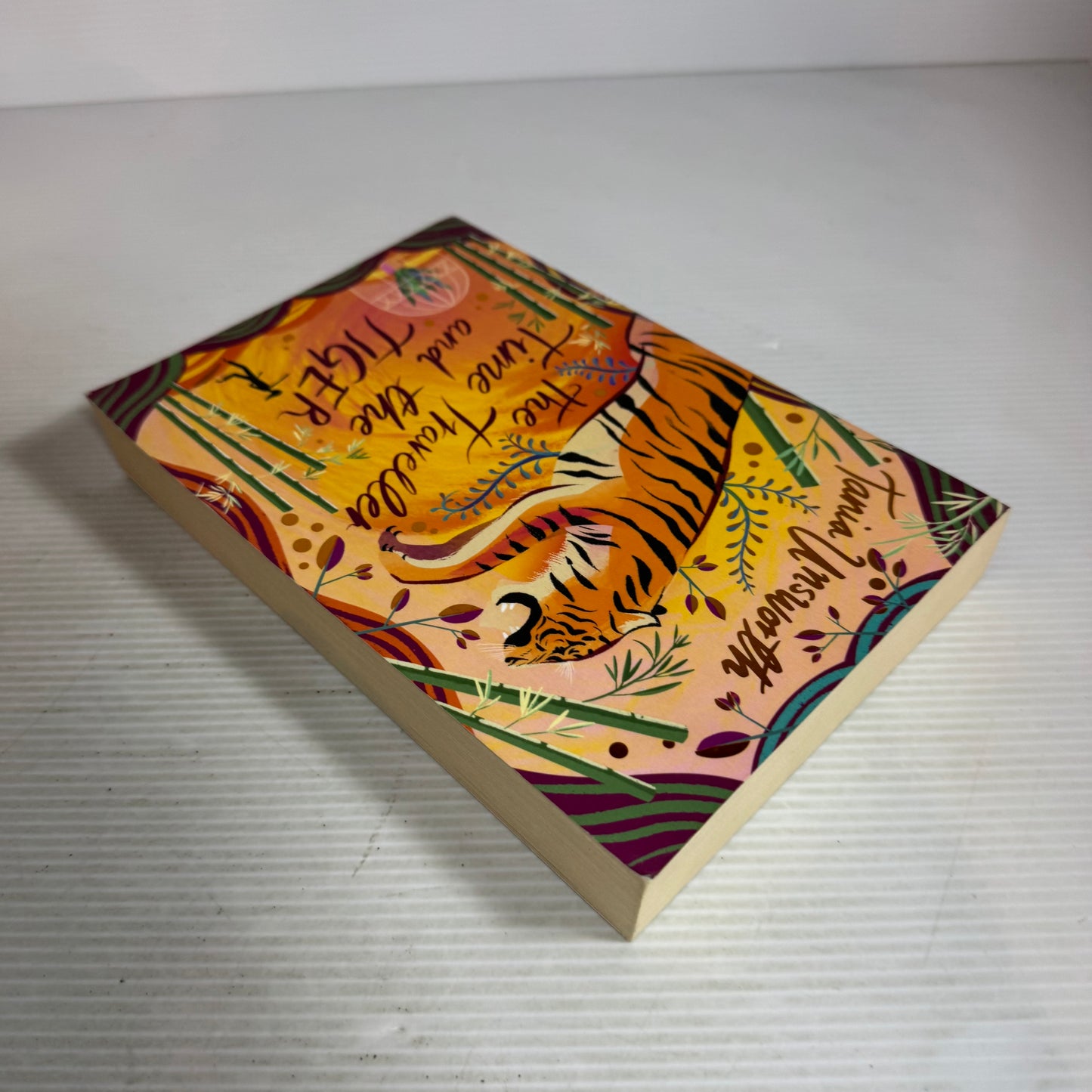 The Time Traveller And The Tiger - Tania Unsworth