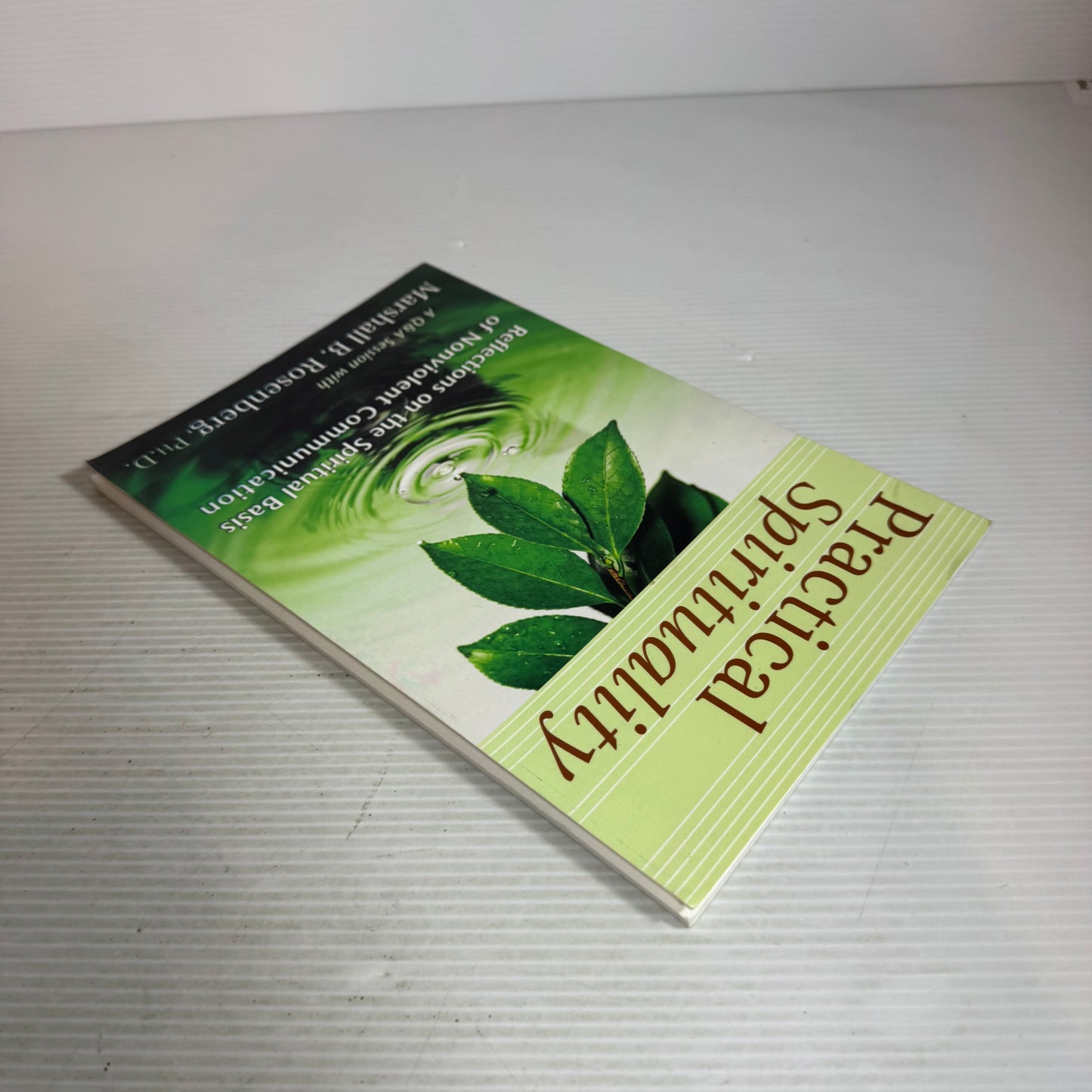 Practical Spirituality - Marshall B. Roseberg