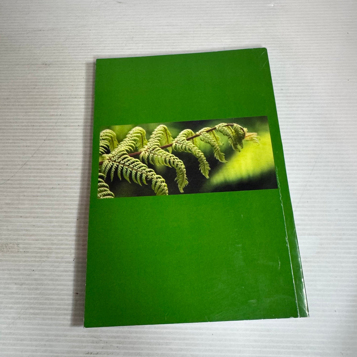 A Handbook for Healing Of Memories Ministry - Robin Kingston