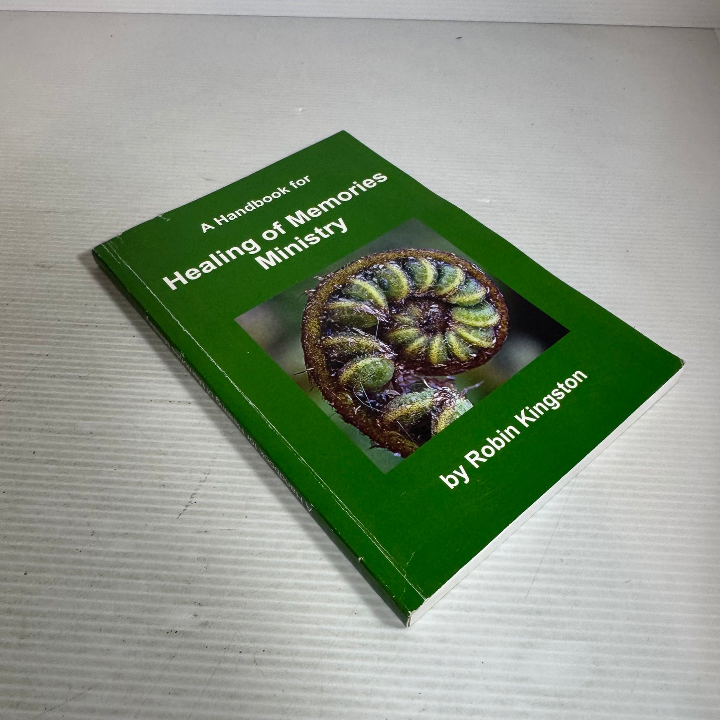 A Handbook for Healing Of Memories Ministry - Robin Kingston