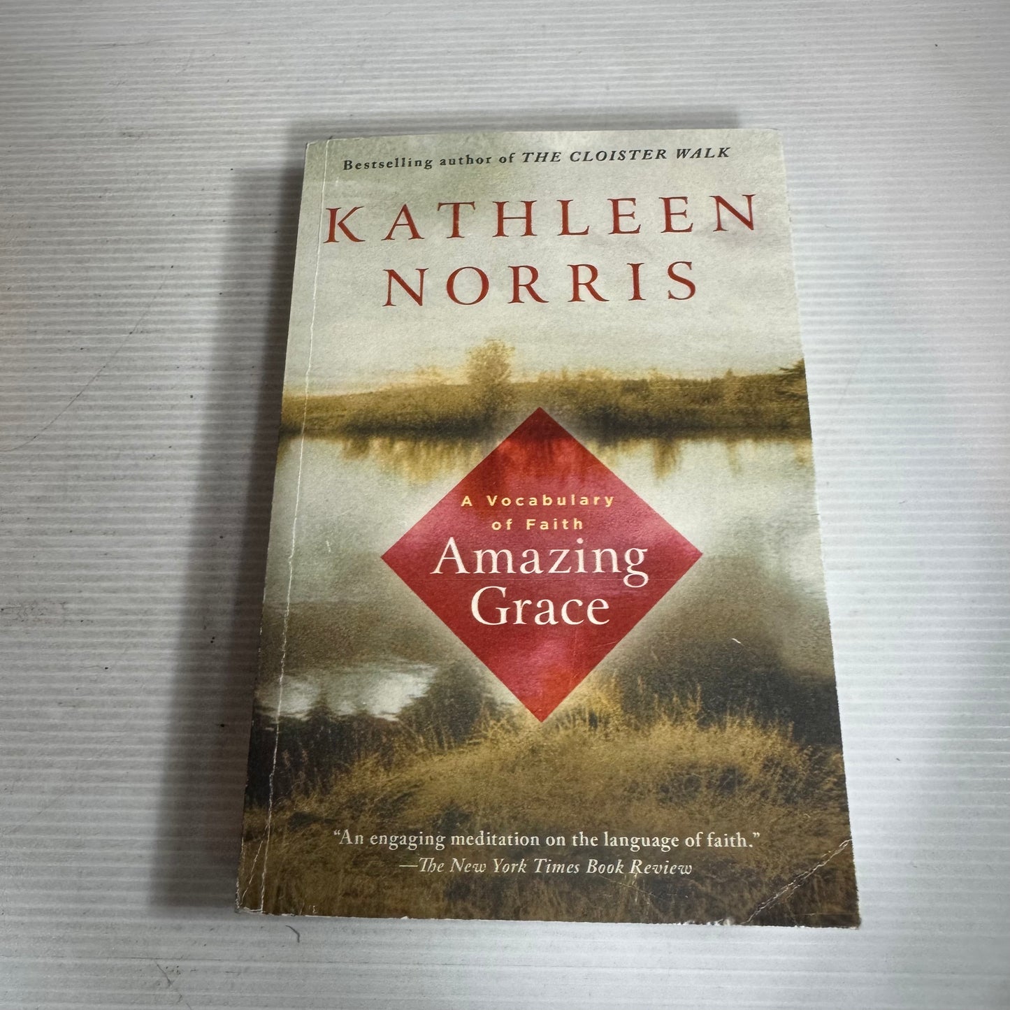 A Vocabulary Of Faith Amazing Grace - Kathleen Norris
