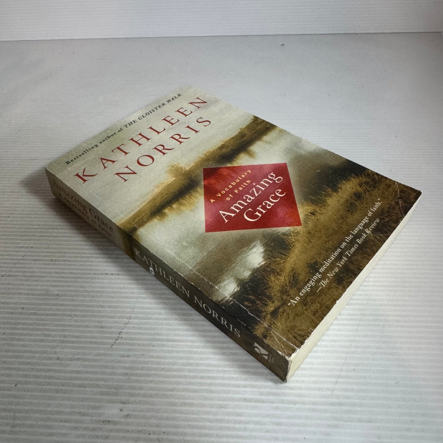 A Vocabulary Of Faith Amazing Grace - Kathleen Norris