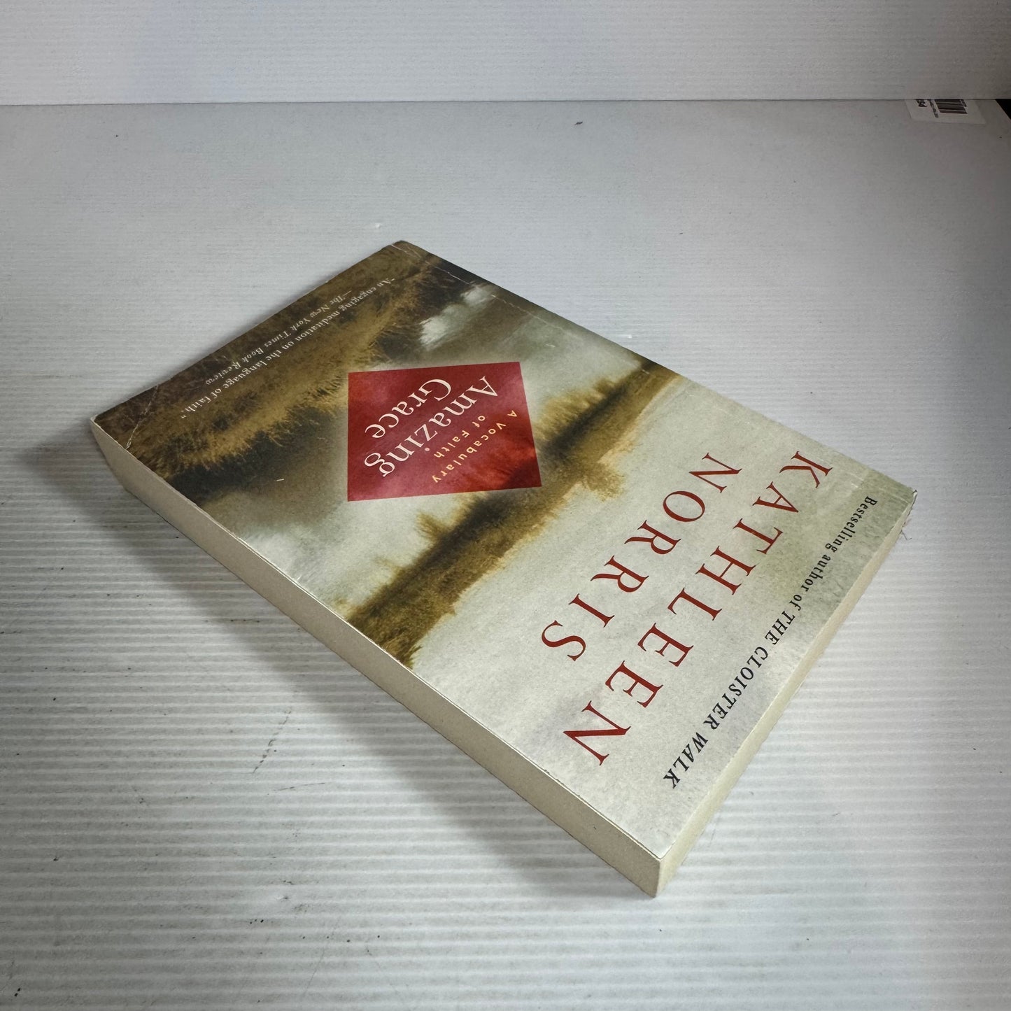 A Vocabulary Of Faith Amazing Grace - Kathleen Norris
