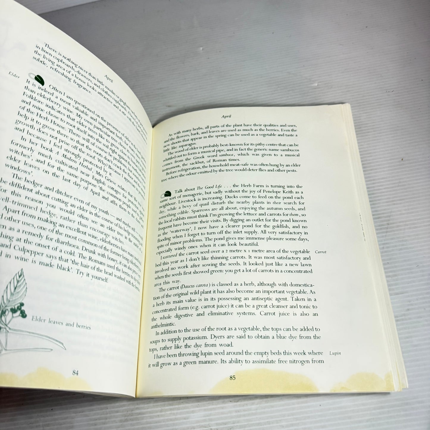 The Living Kitchen - Gillian Polson (Vintage 1983)