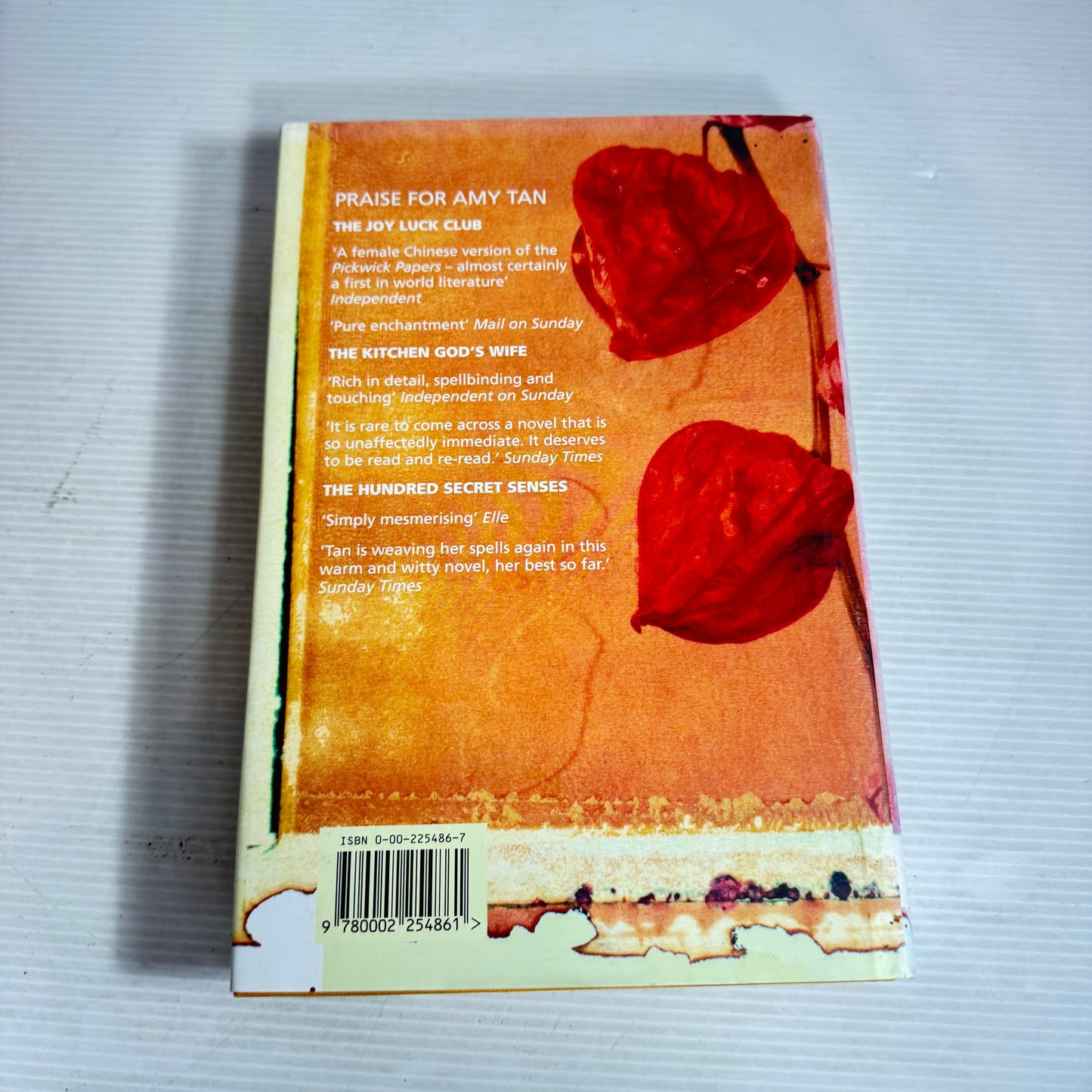 The Bonesetter's Daughter - Amy Tan