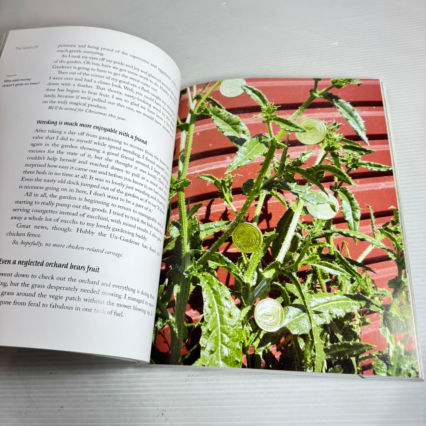 The Good Life: Four Glorious Seasons In My Country Garden - Sarah O'Neil