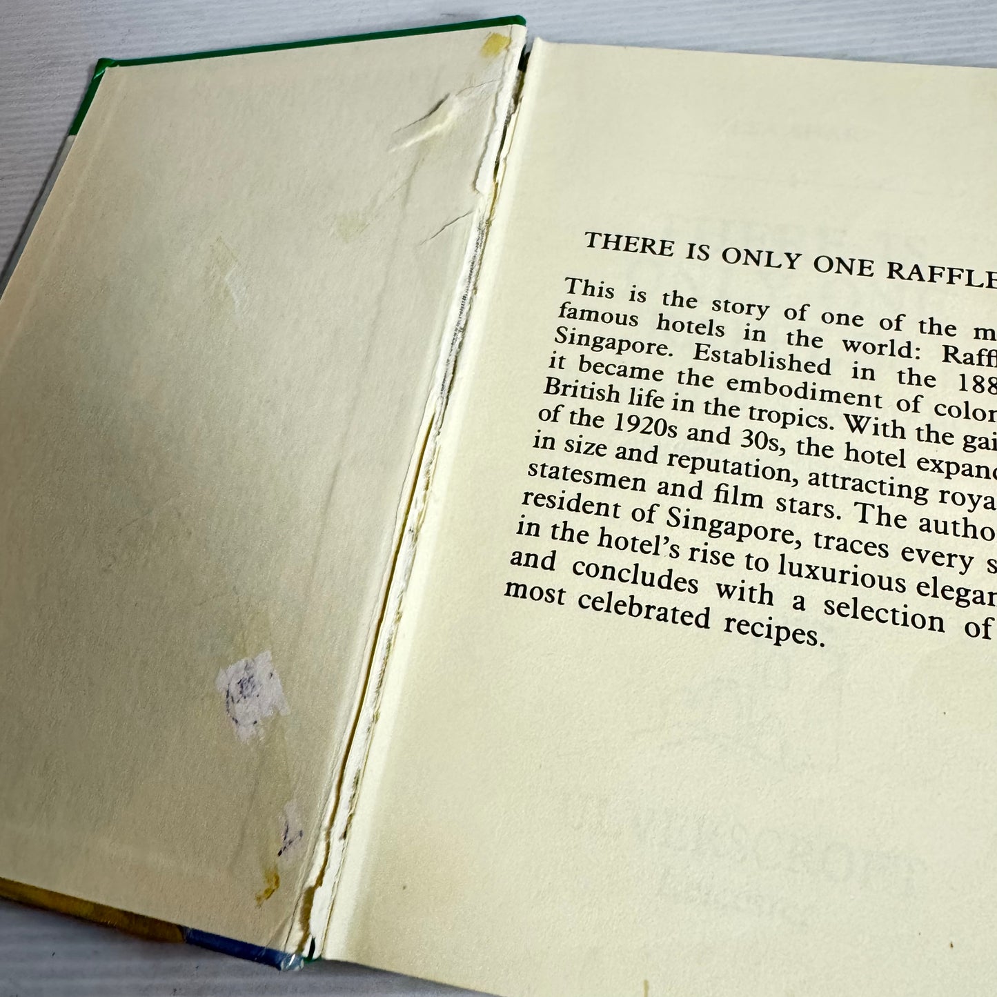 There Is Only One Raffles : The Story of a Grand Hotel - Ilsa Sharp LARGE PRINT