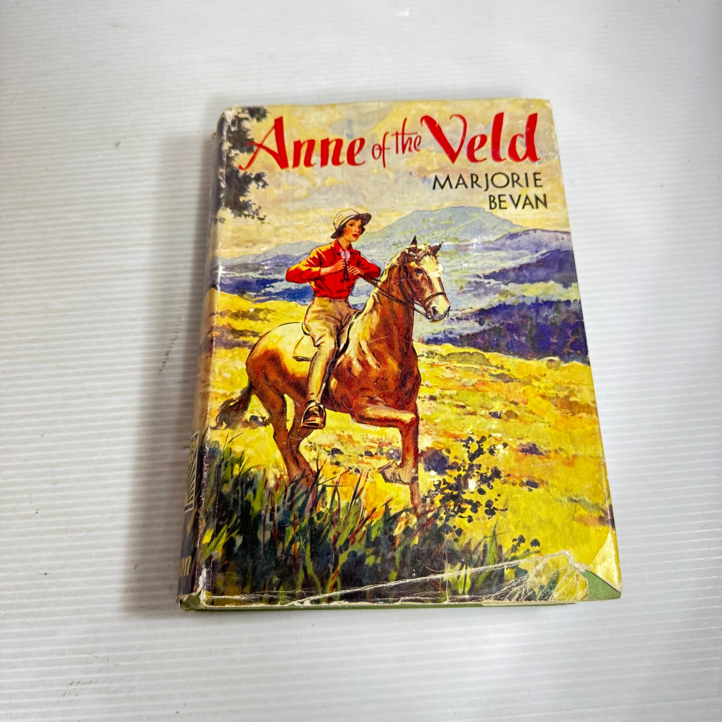 Anne of the Veld - Marjorie Bevan (Vintage c1950)