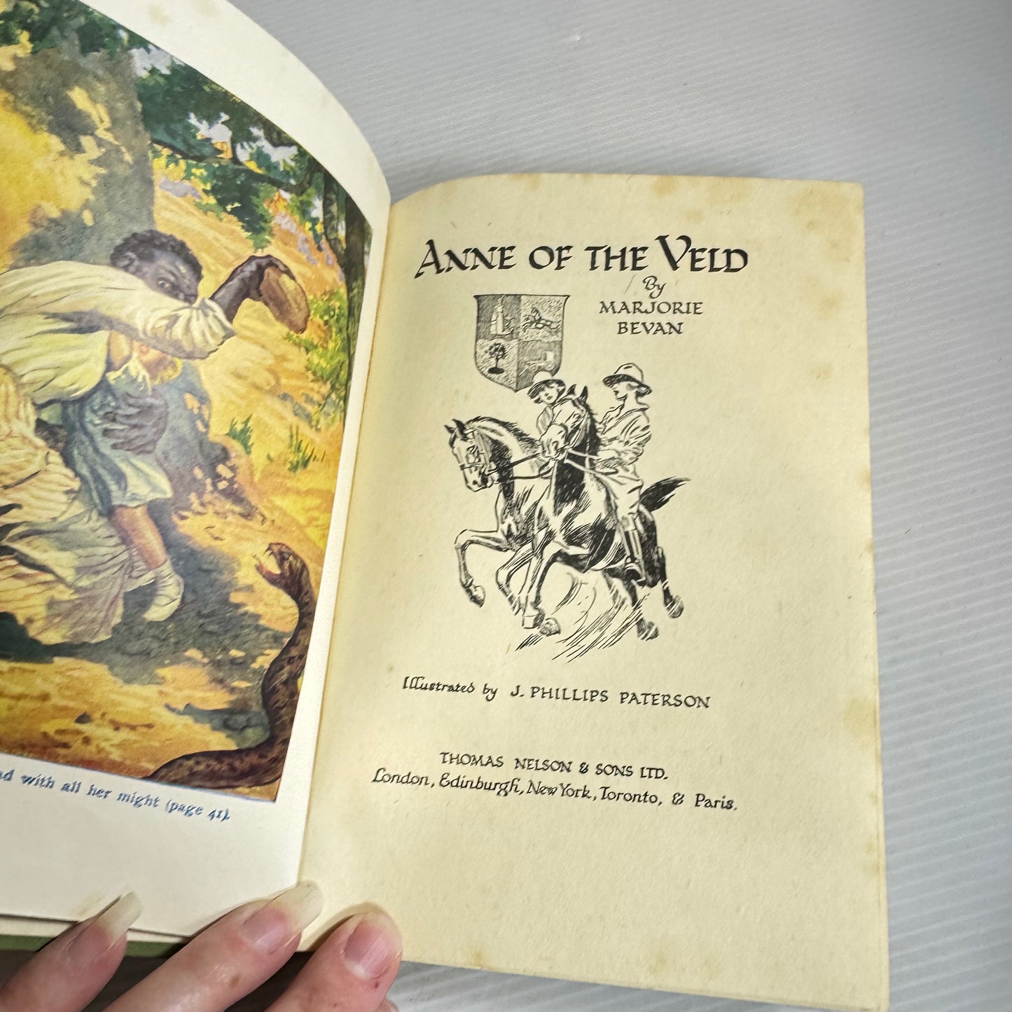 Anne of the Veld - Marjorie Bevan (Vintage c1950)