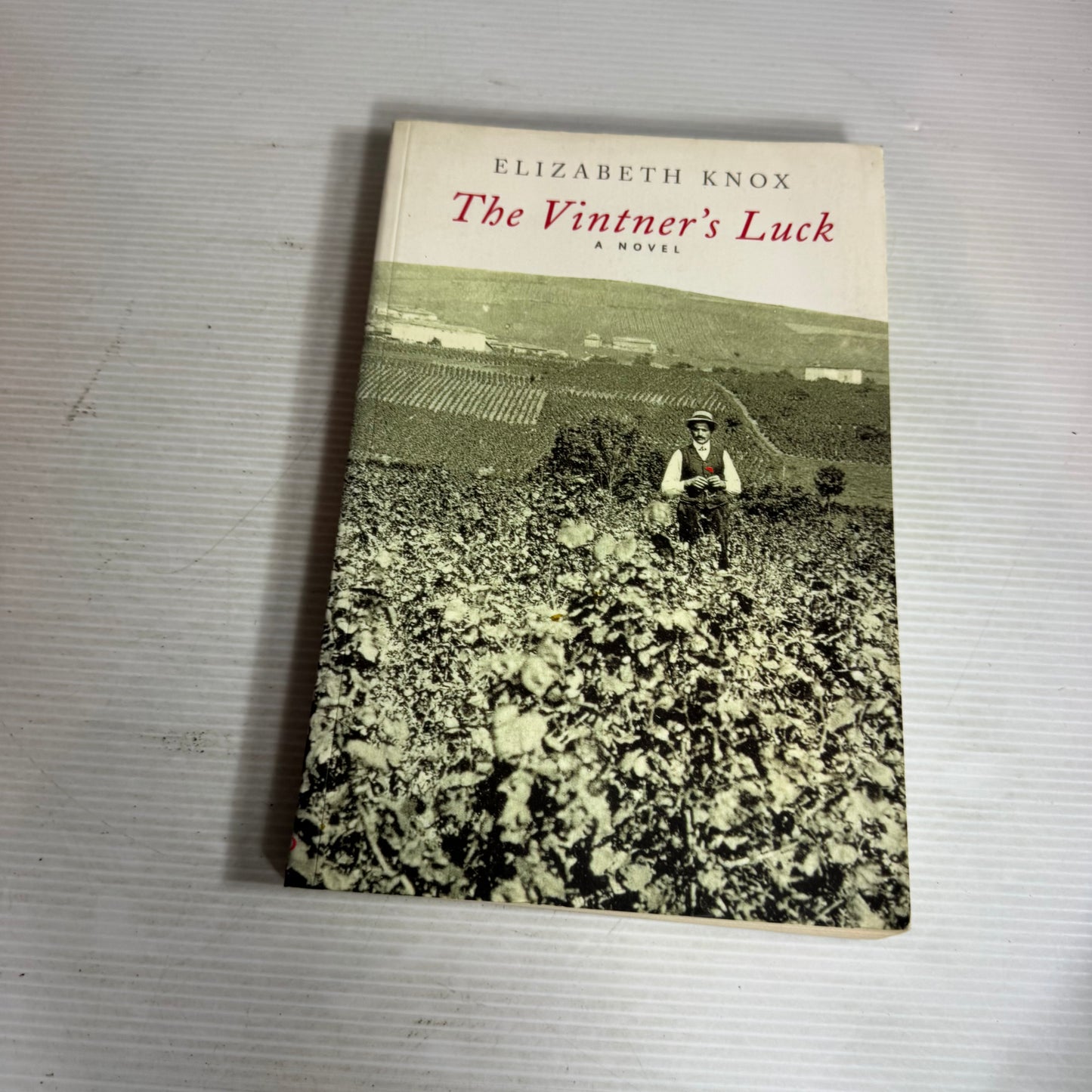 The Vintner's Luck - Elizabeth Knox
