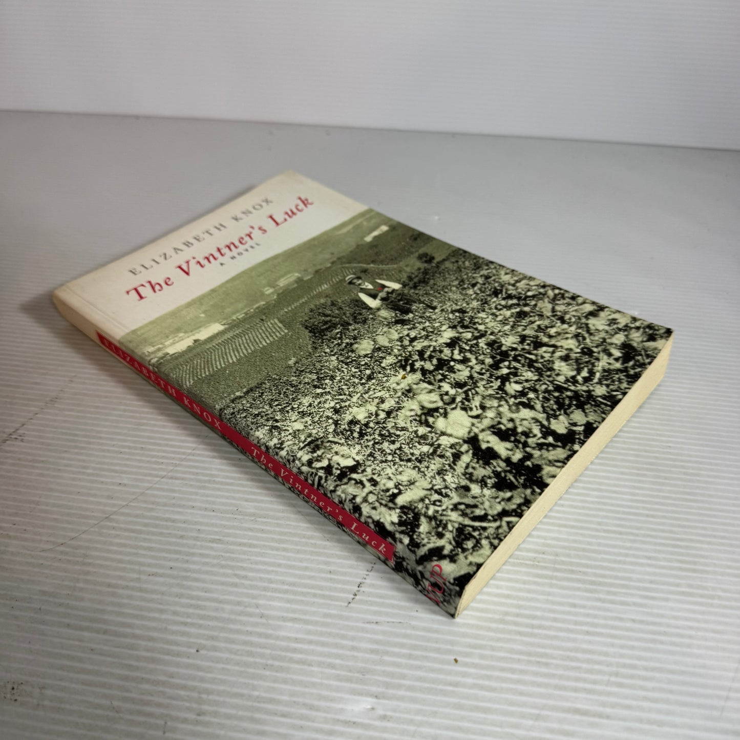 The Vintner's Luck - Elizabeth Knox