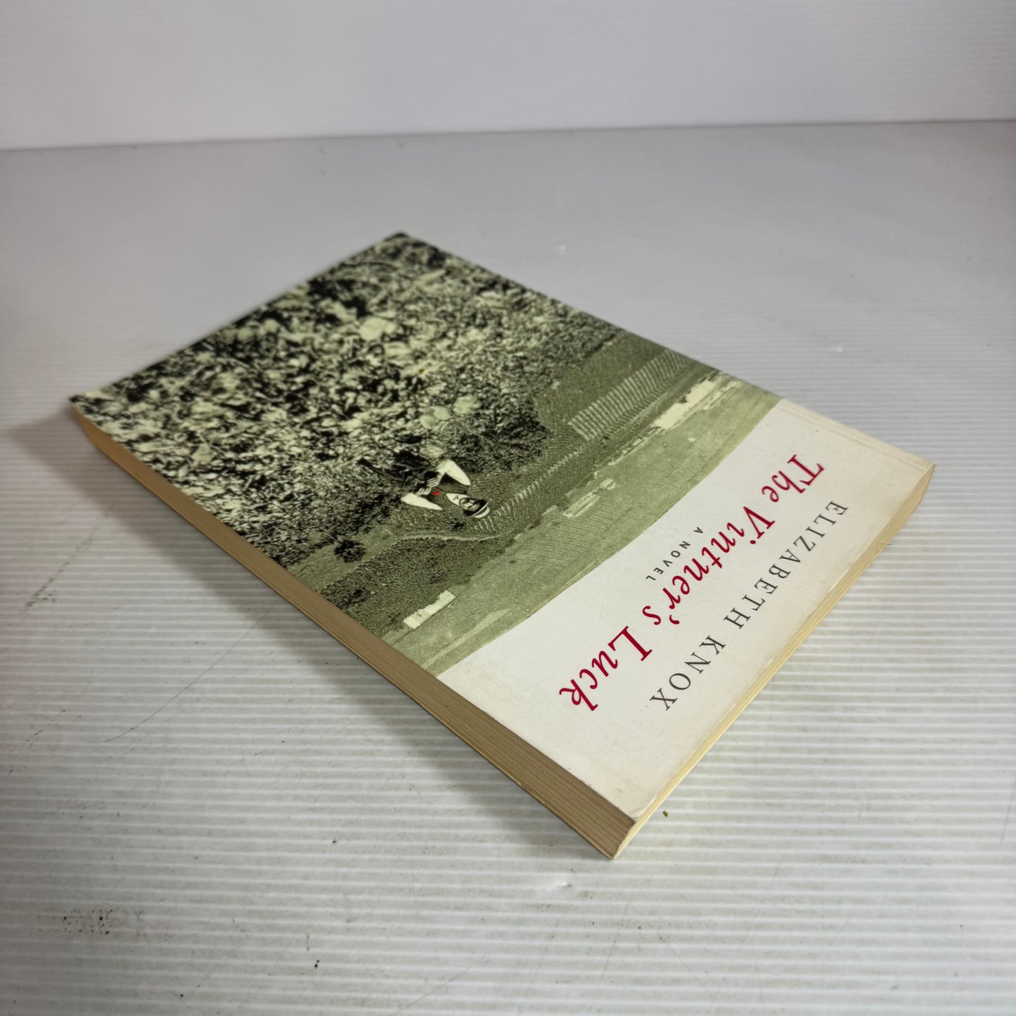 The Vintner's Luck - Elizabeth Knox