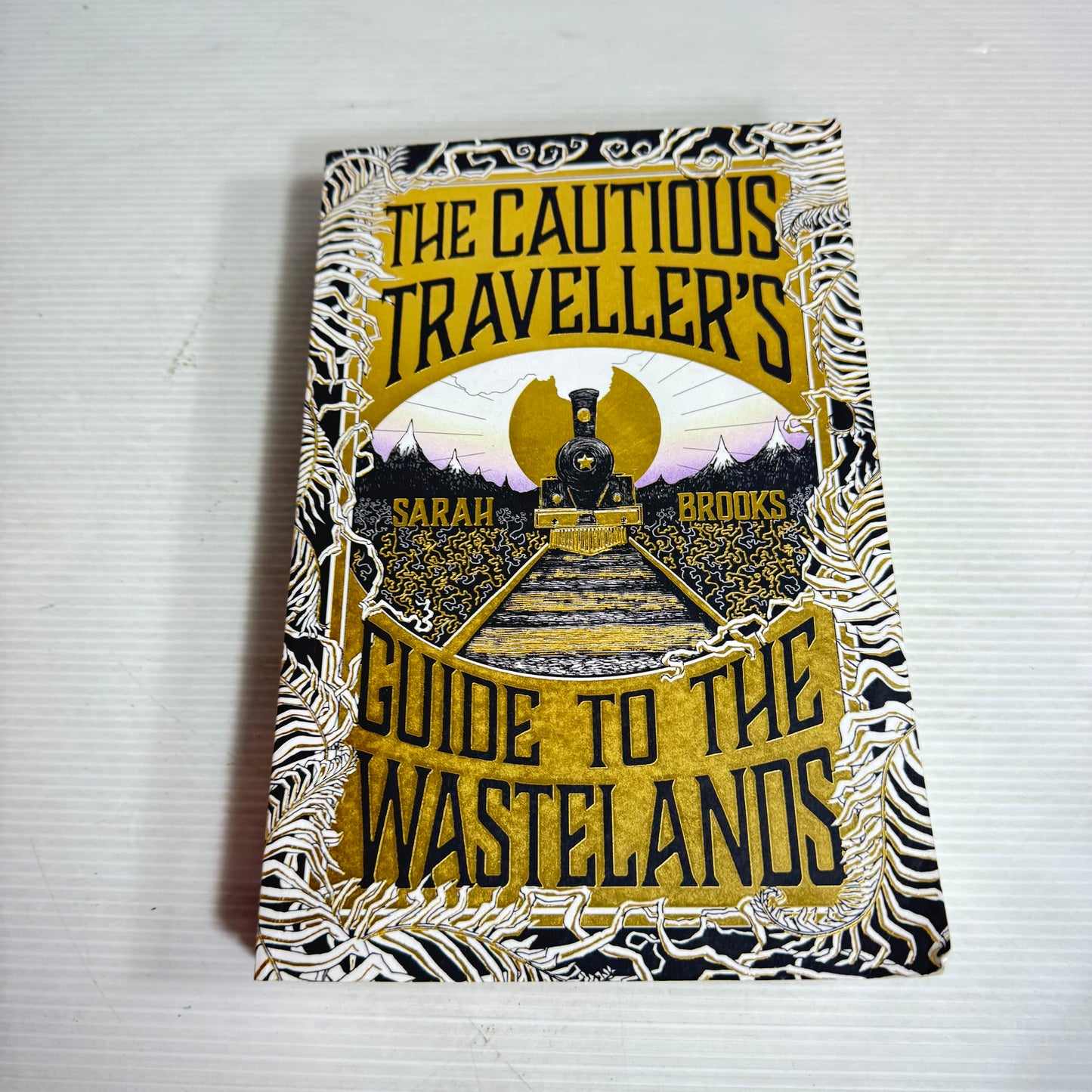 The Cautious Traveller's : Guide to the Wastelands - Sarah Brooks