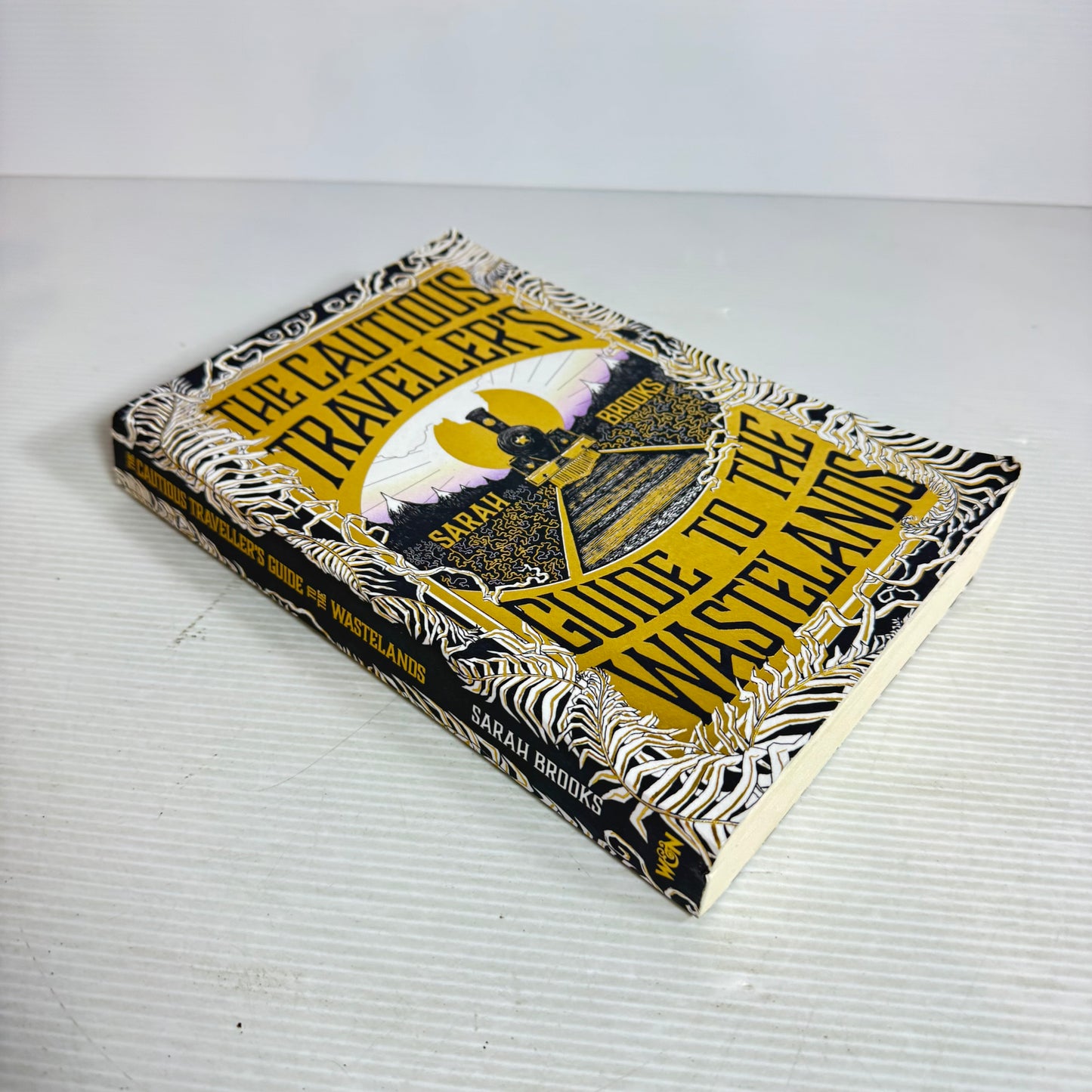 The Cautious Traveller's : Guide to the Wastelands - Sarah Brooks