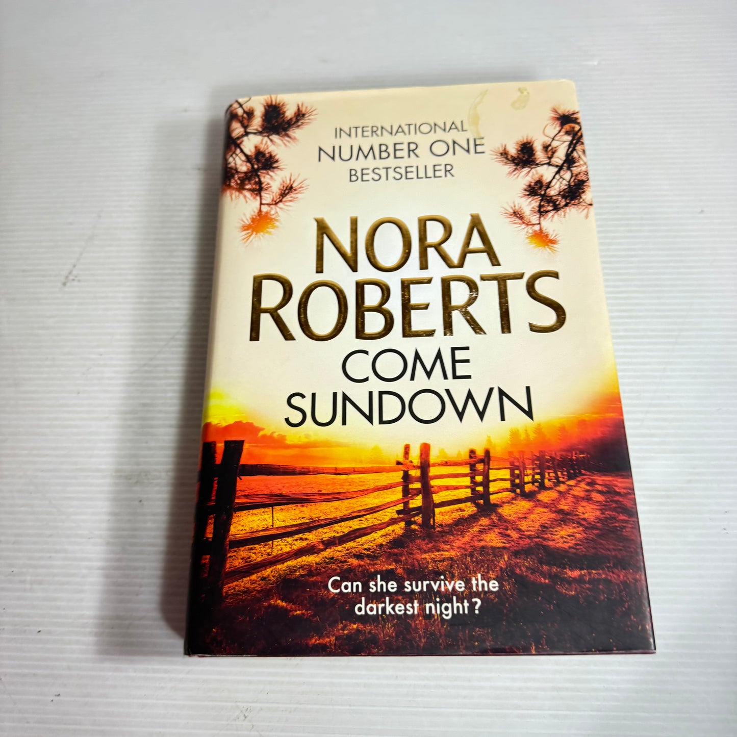 Come Sundown - Nora Roberts