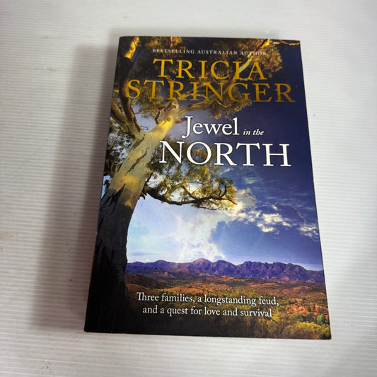 Jewel in the North - Tricia Stringer