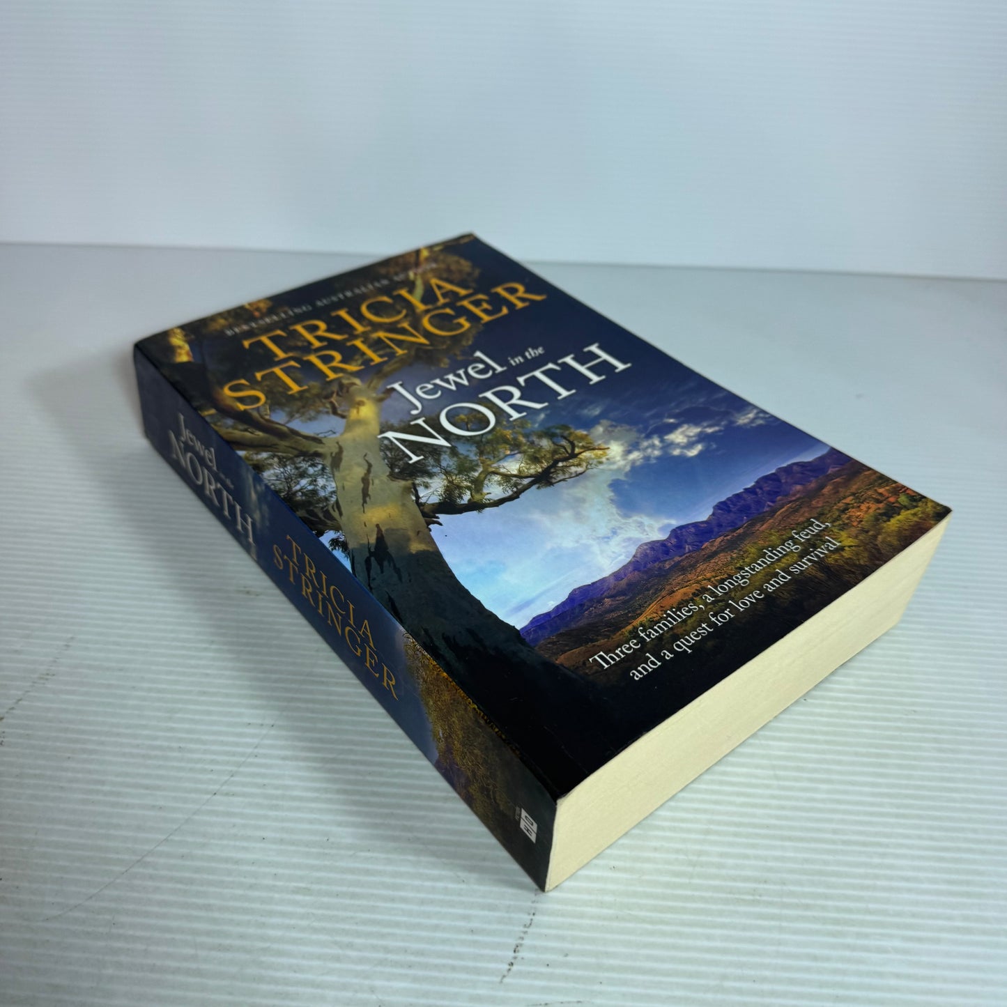 Jewel in the North - Tricia Stringer