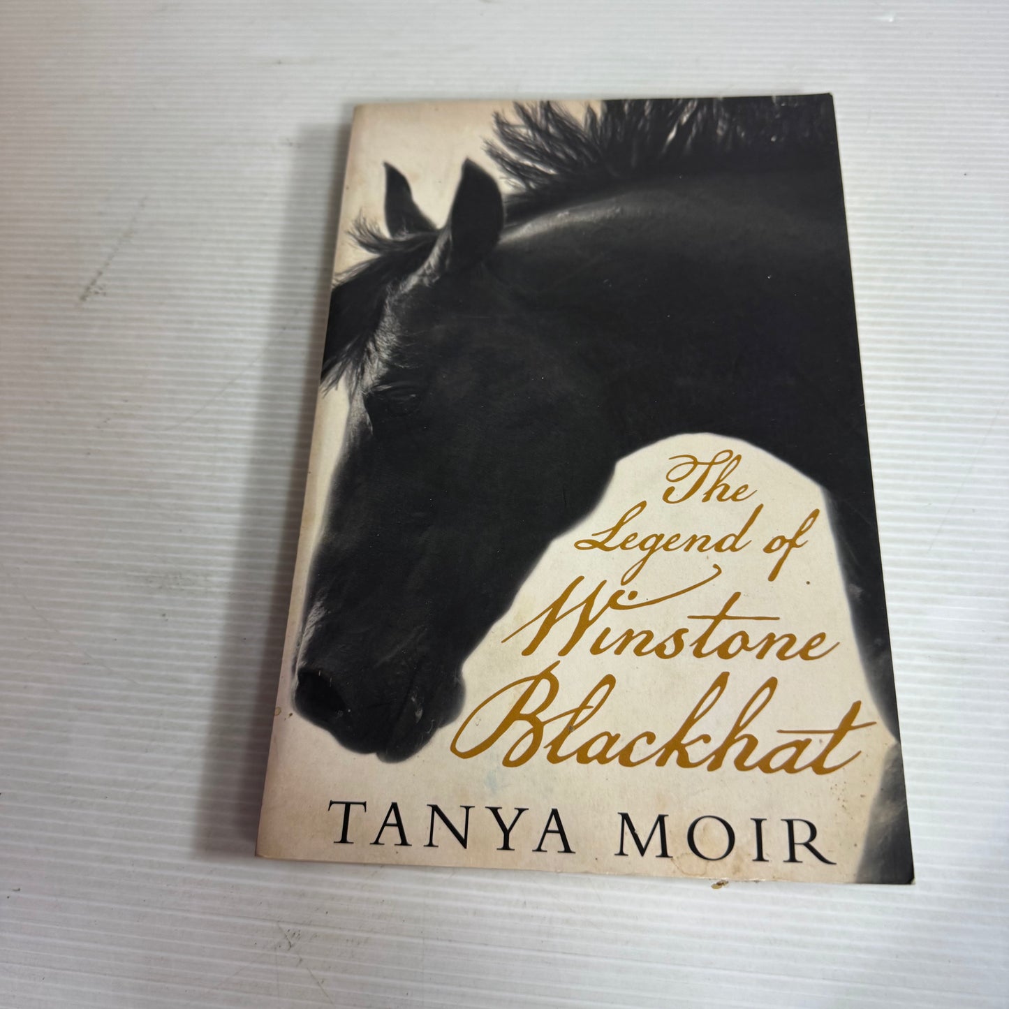 The Legend of Winstone Blackhat - Tanya Moir