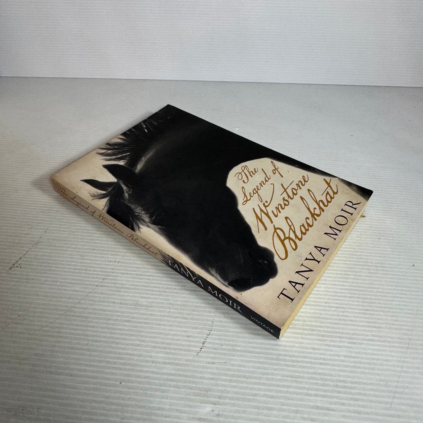 The Legend of Winstone Blackhat - Tanya Moir