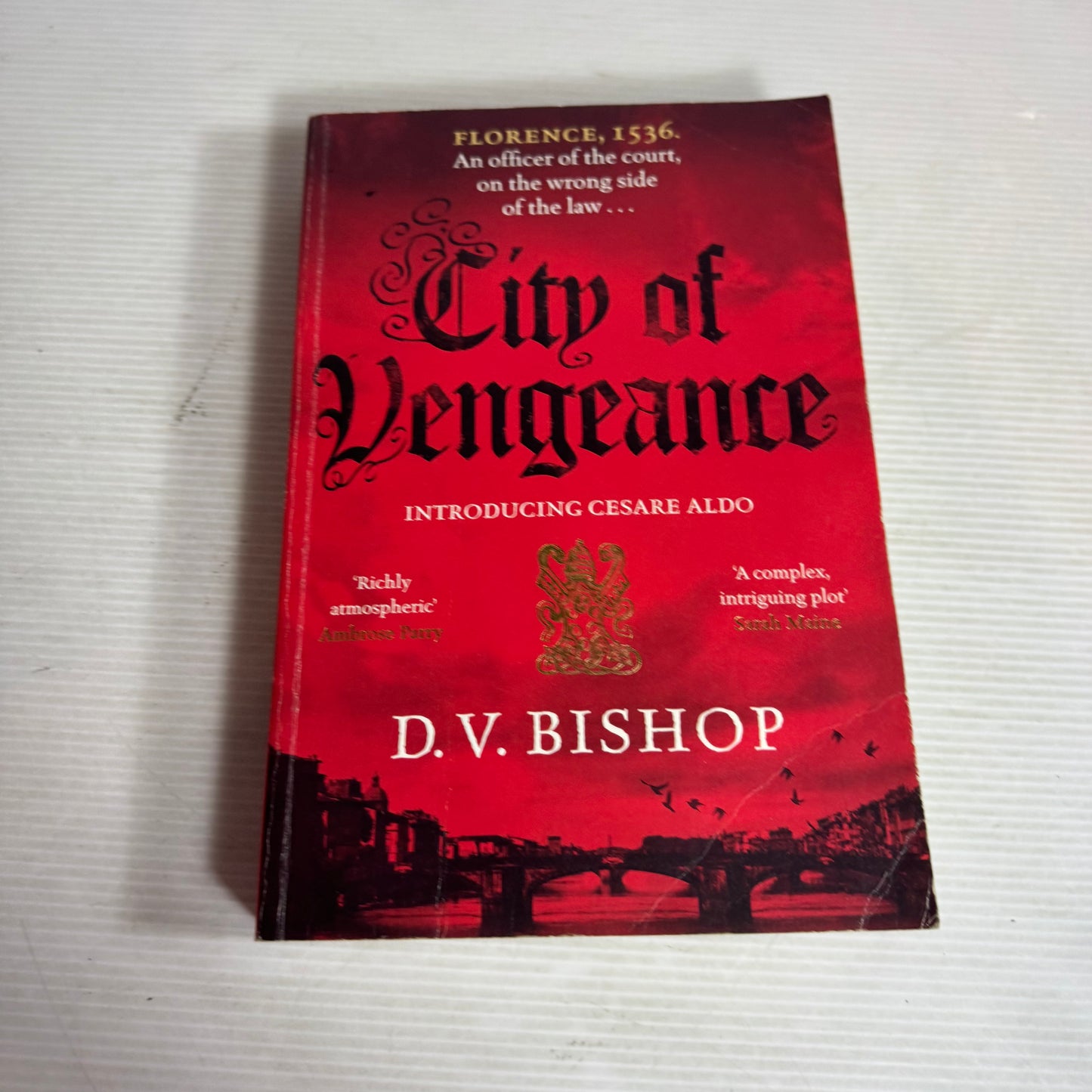 City of Vengeance - D. V. Bishop