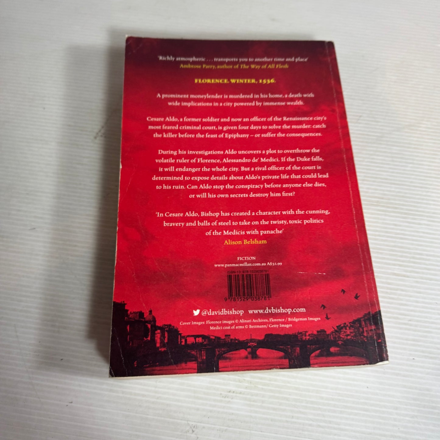 City of Vengeance - D. V. Bishop