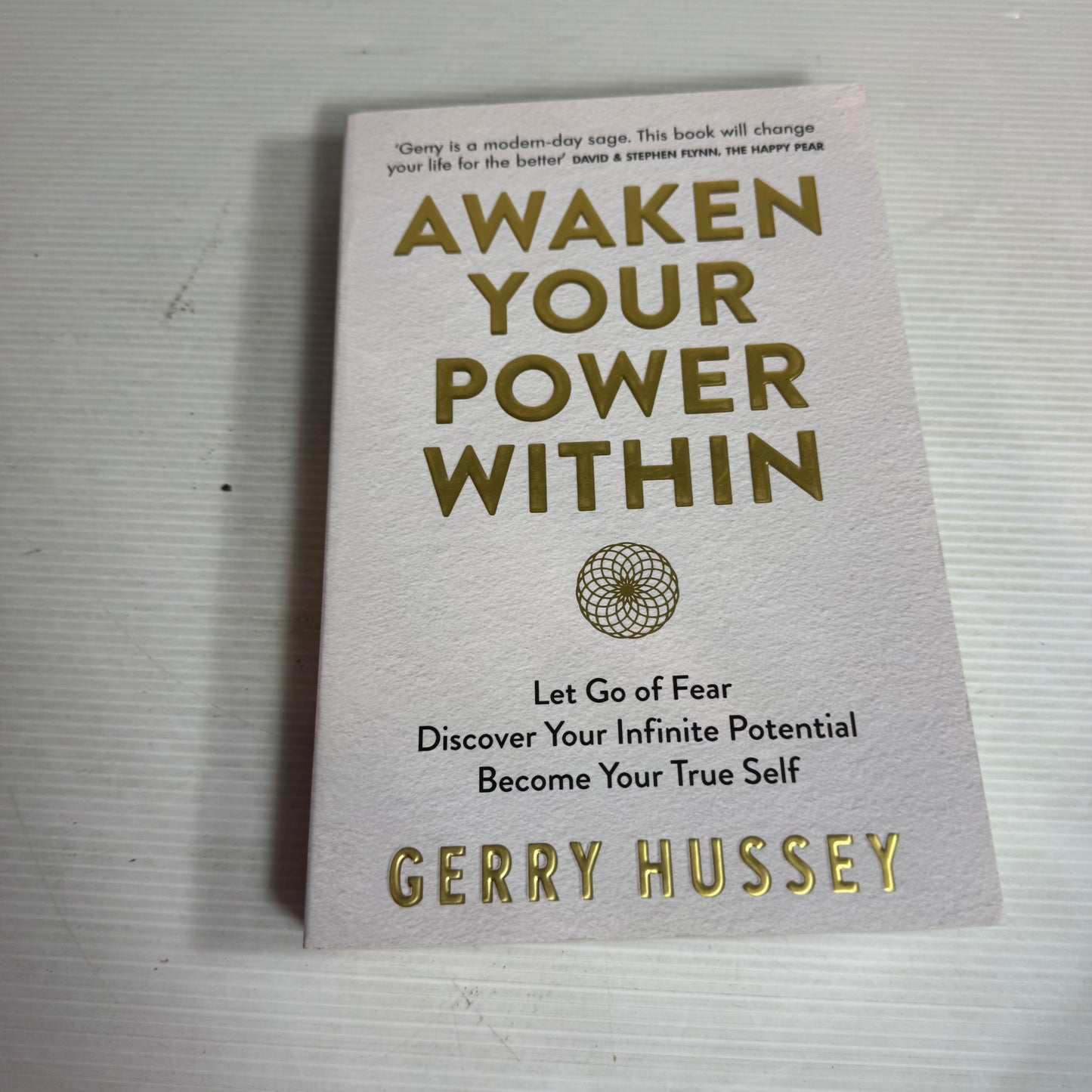 Awaken Your Power Within : Let Go of Fear Discover Your Infinite Potential Become Your True Self - Gerry Hussey