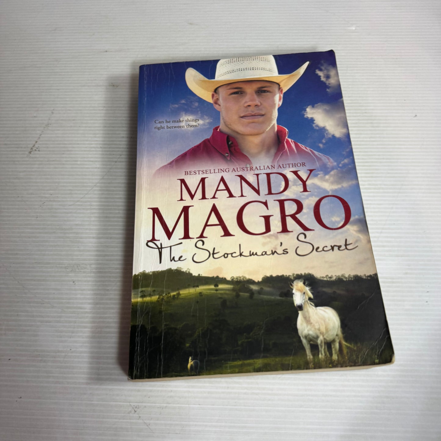 The Stockman's Secret - Mandy Magro