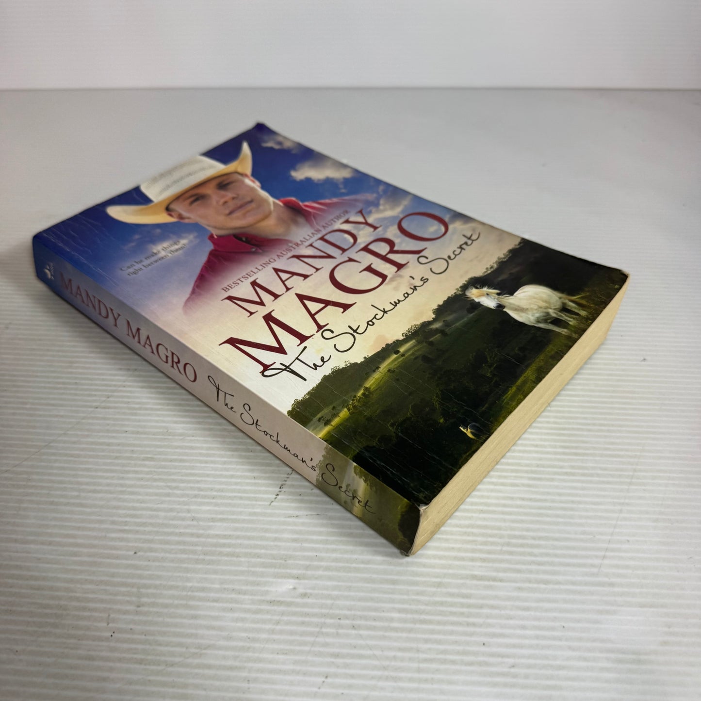 The Stockman's Secret - Mandy Magro
