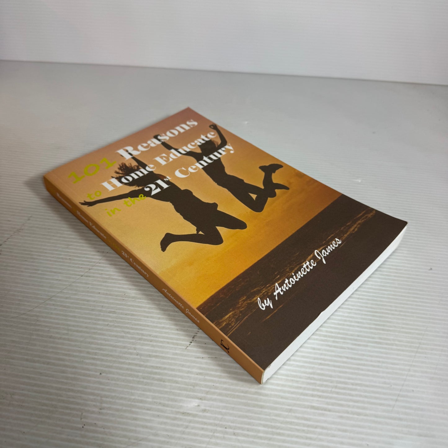 101 Reasons to Home Educate in the 21st Century - Antionette James (Inscription signed by Author)
