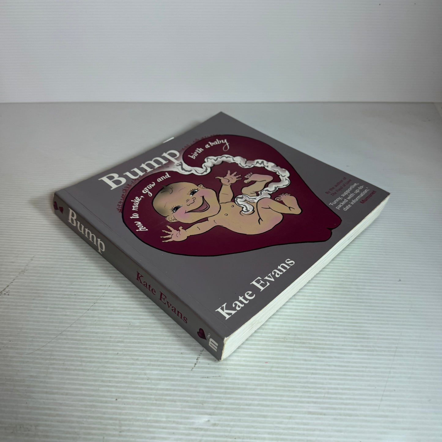 Bump : How to Make, Grow and Birth a Baby - Kate Evans