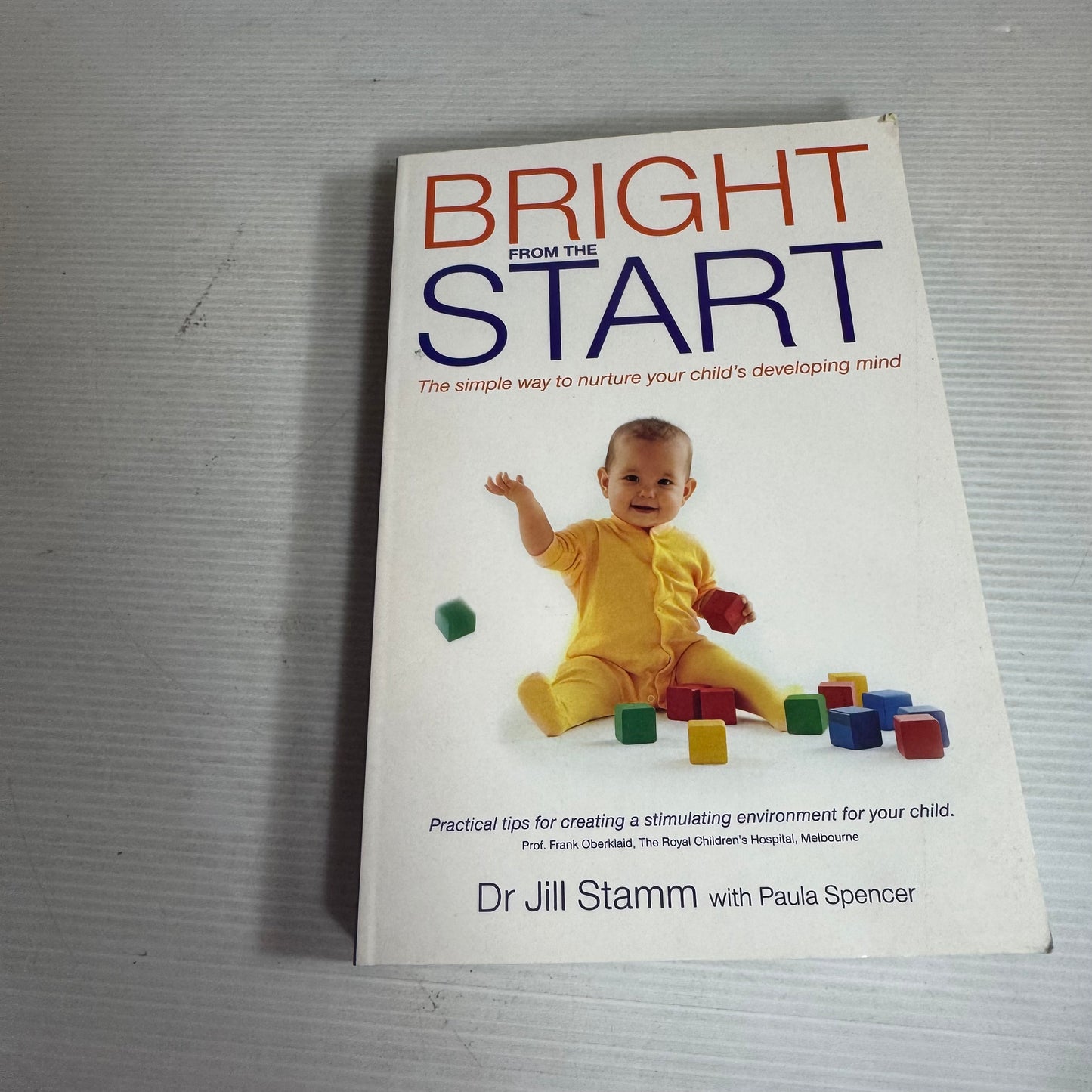 Bright From The Start : The Simple Way to Nurture Your Child's Developing Mind - Dr Jill Stamm
