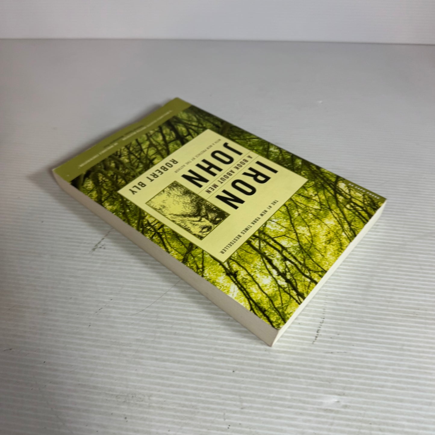 Iron John : A Book about Men - Robert Bly