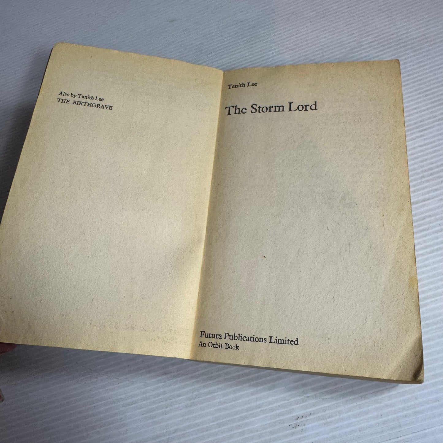 The Storm Lord - Tanith Lee (Vintage 1976)