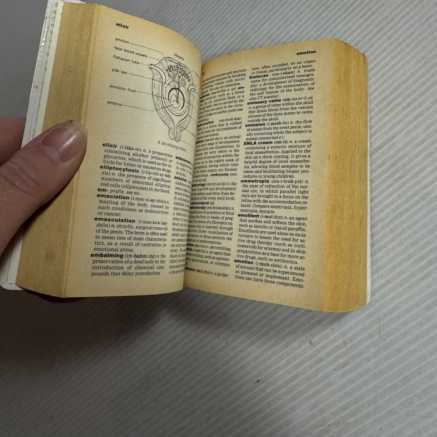 Mini Reference Oxford Dictionary For Nurses