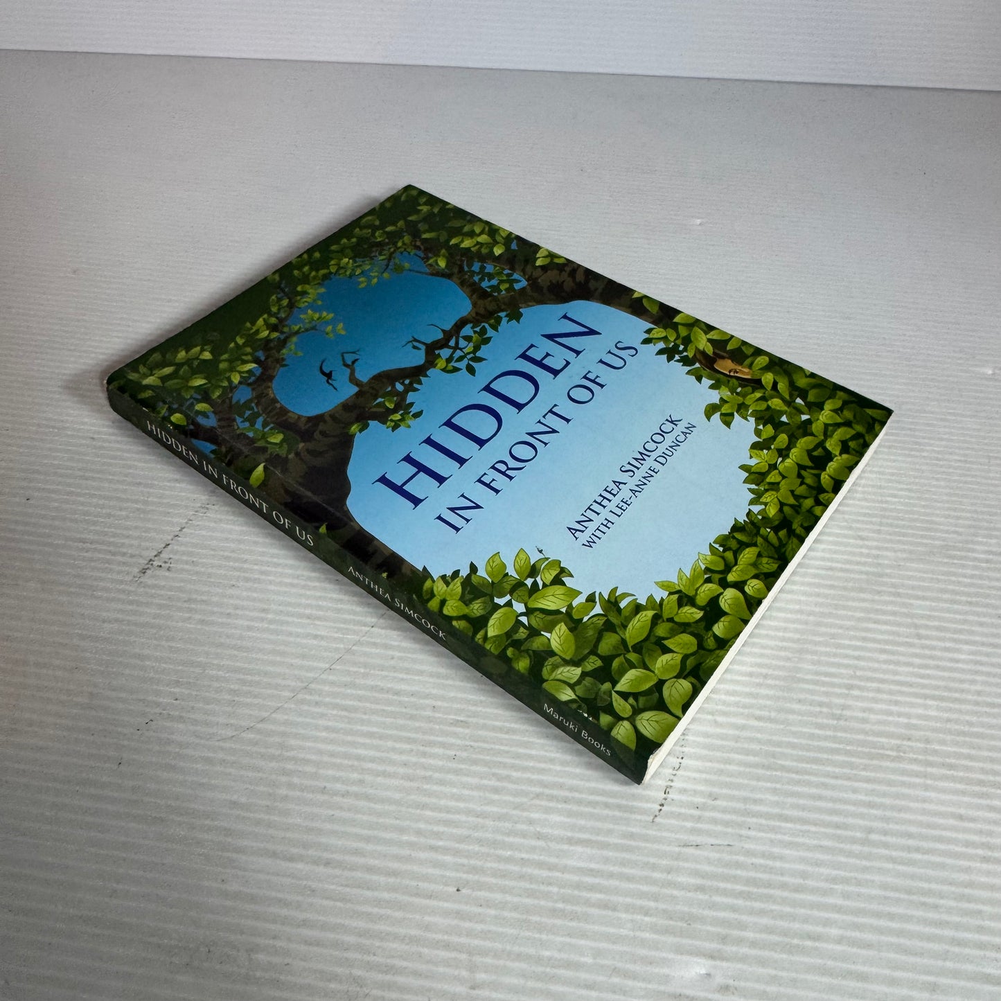 Hidden In Front Of Us - Anthea Simcock with Lee-Anne Duncan