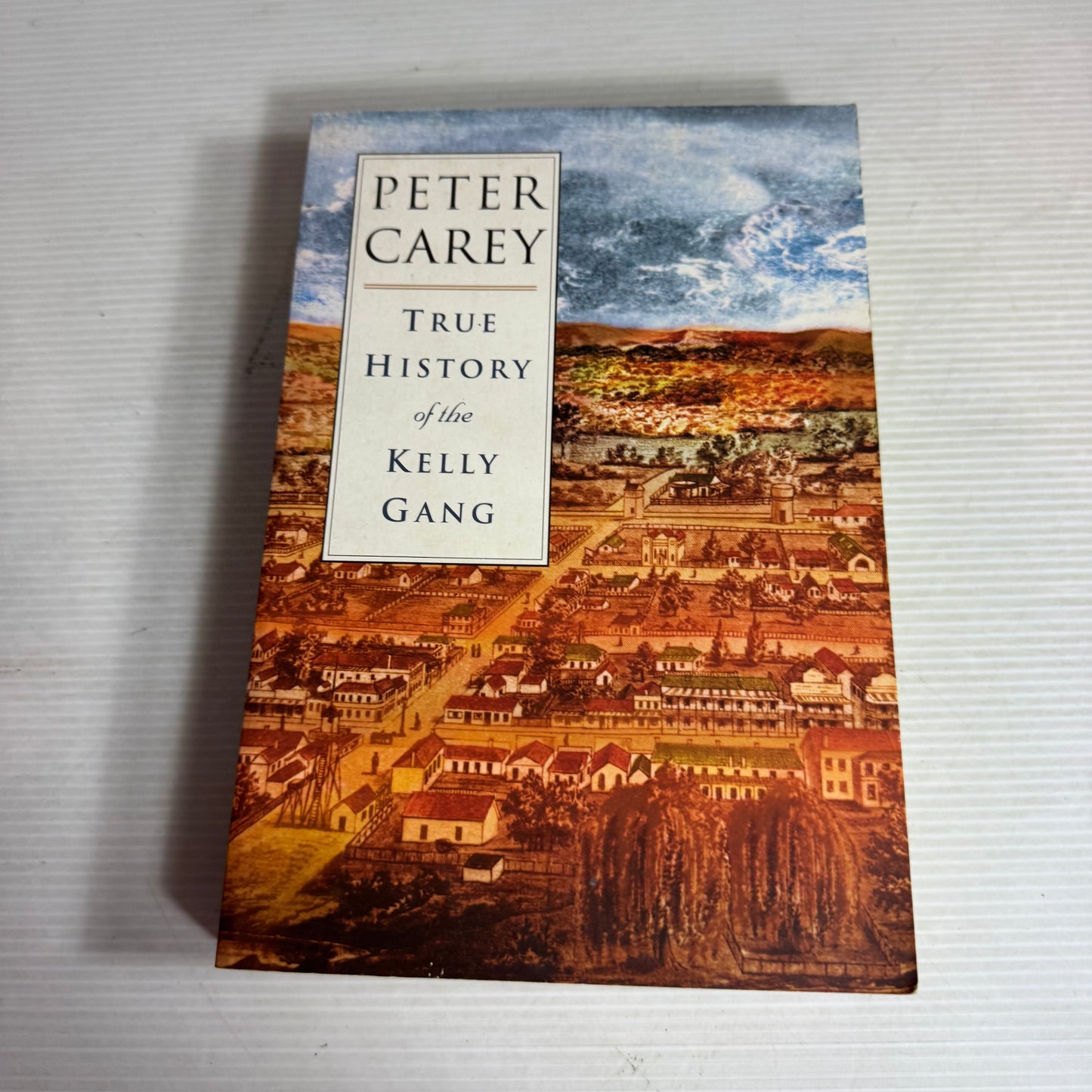 True History of the Kelly Gang - Peter Carey