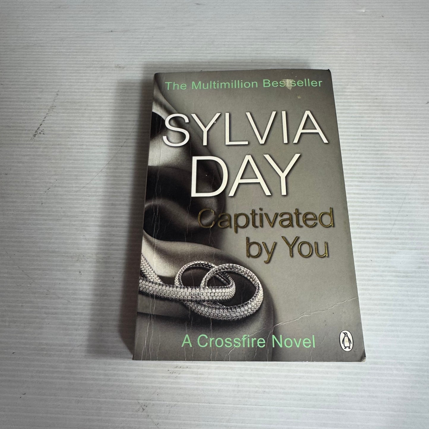 Captivated By You - Sylvia Day