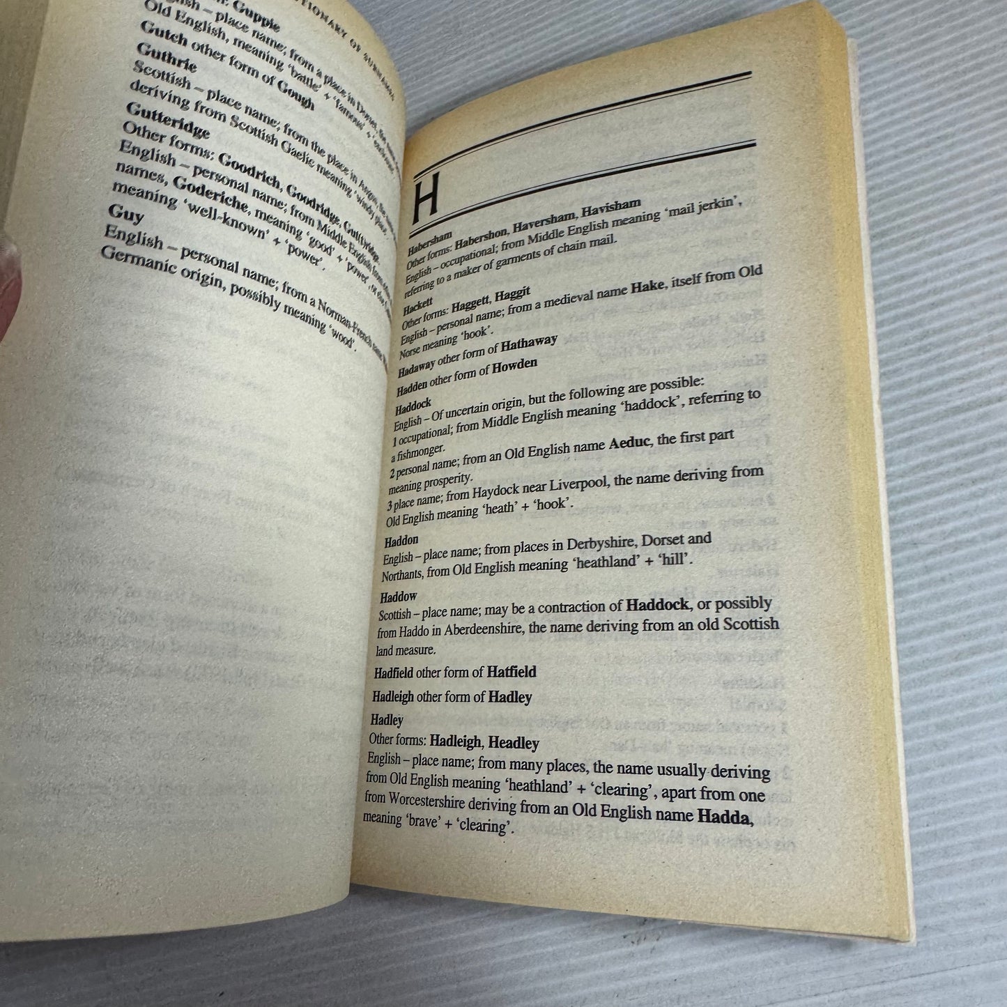 The Wordsworth Dictionary of Surnames - Terry Freedman & Iseabail Macleod