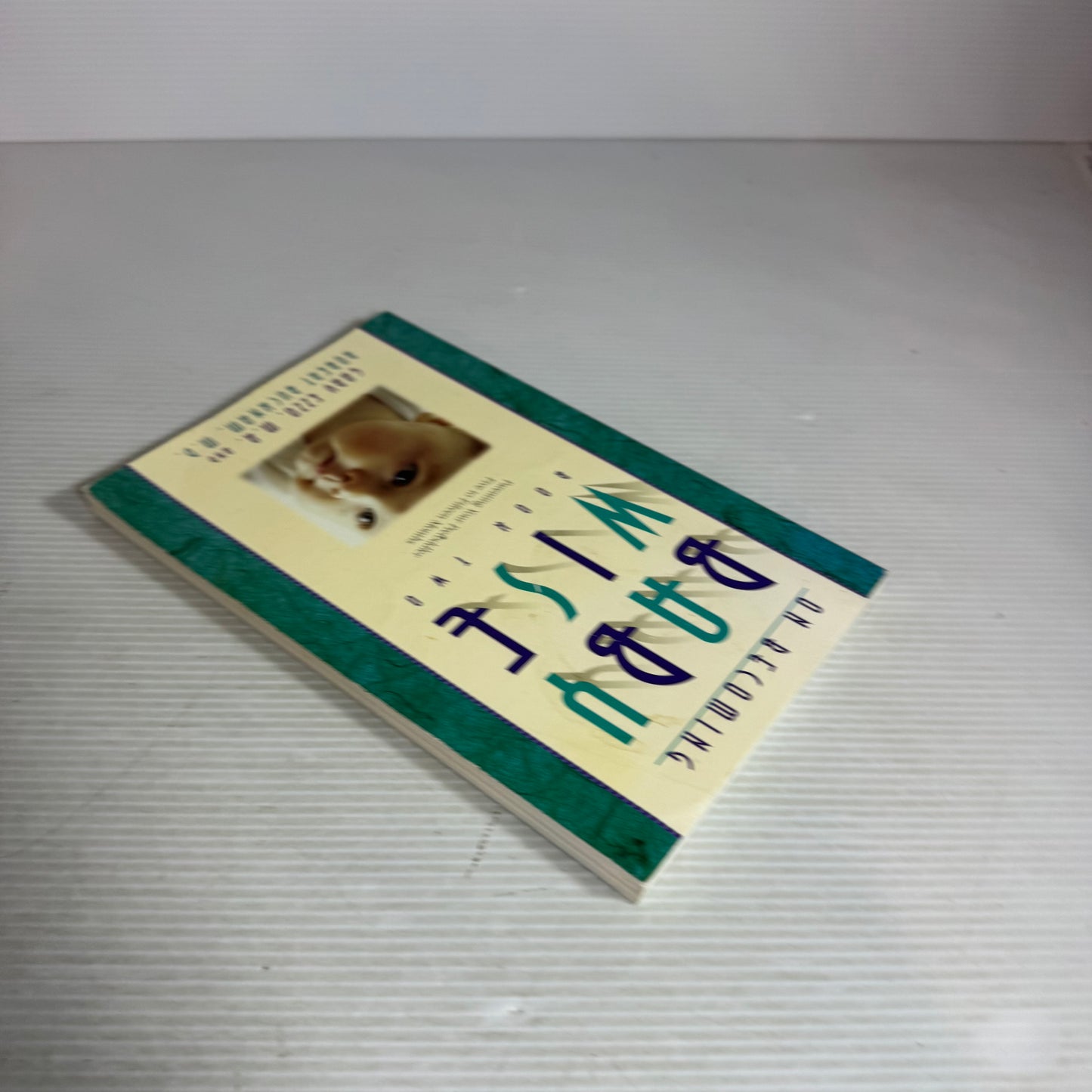 On Becoming Baby Wise : Book Two - Gary Ezzo, M.A. and Robert Bucknam, M. D.