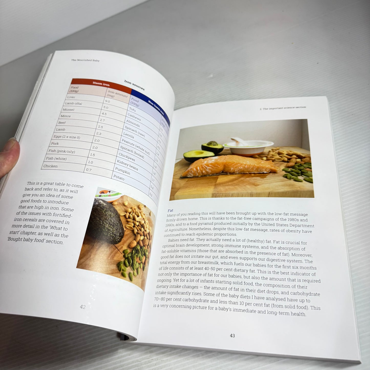 The Nourished Baby : A Step-by-Step Guide to Introducing Solids - Dr Julie Bhosale